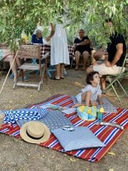 %100 Pamuklu Jakarlı Dama Desenli Mavi Çift Kişilik Pike