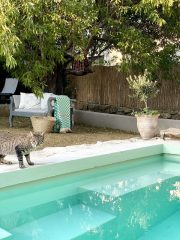 %100 Pamuklu Jakarlı Dama Desenli Yeşil Tek Kişilik Pike