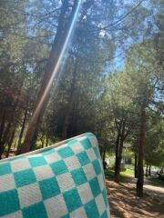 Dama Desenli Kırlent Kılıfı Yeşil  % 100 Pamuklu